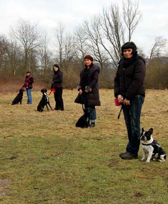 Teilnehmer beim Hundekurs