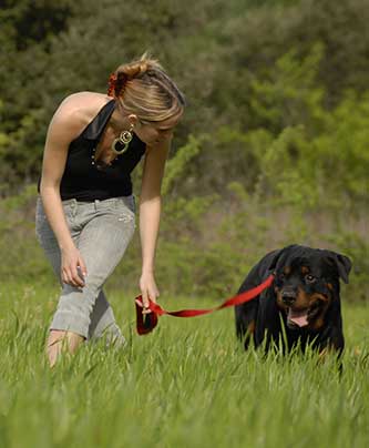 Frau beim Vertrauenstraining mit Rotweiler