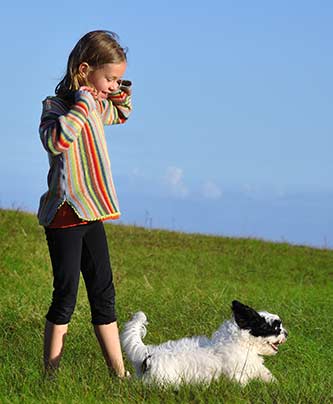 Mädchen mit ihrem Hund auf der Wiese