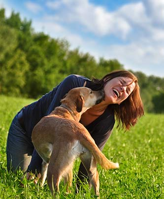 Hund Mensch Team beim herumalbern