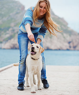 Frau beim Trick üben mit dem Labrador