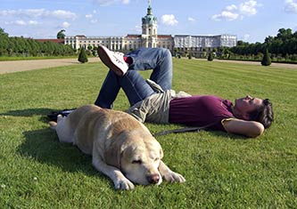 entspannter Mensch und Hund liegen auf der Wiese